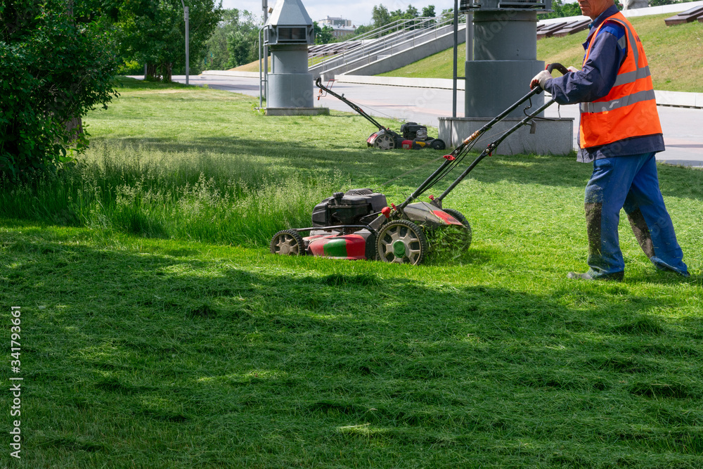 Fototapeta premium The gardener cutting grass by lawn mower in the park. Man is using grass cutting equipment.