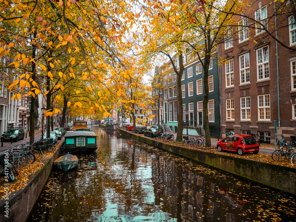 Fototapeta premium kanał w amsterdamie