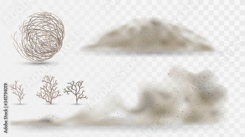Desert plants and dust, arid climate elements on a white background, tumbleweed and sandstorms photo