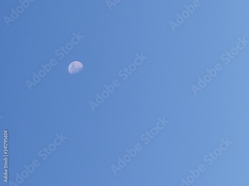 moon in the sky