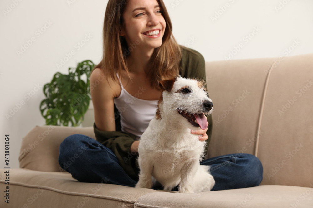 Young woman with her cute Jack Russell Terrier on sofa at home. Lovely pet Young woman with her cute Jack Russell Terrier on sofa at home. Lovely pet