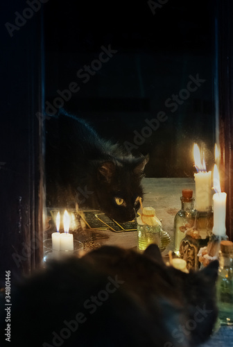 Reflection of a black cat and burning candles in an old mirror