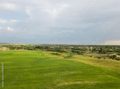 Large green field of a green wheat and another cereals cultures in spring season from Aerial view. Agricultural fields.