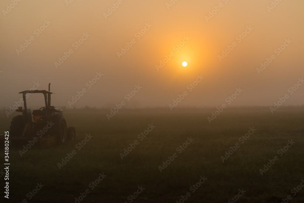 Fototapeta premium Farm Tractor and Foggy Sunrise, Washington County, Texas, USA