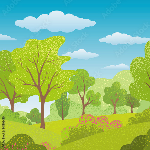 Summer trees  bush  grass  sky  clouds. Background with Green plants. Forest Landscape. Nature banner