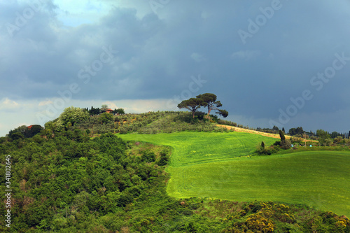 Tuscany spring, rolling hills on spring . Rural landscape. Green fields and farmlands. Italy, Europe