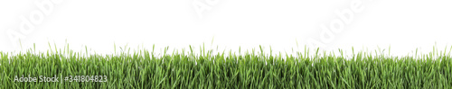 Fresh green grass on white background, banner design. Spring season