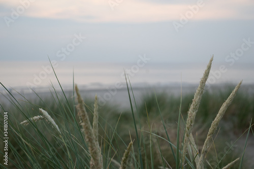 Beach sunrise