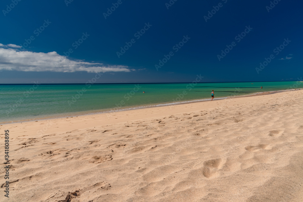Fototapeta premium fuerteventura island Canaries
