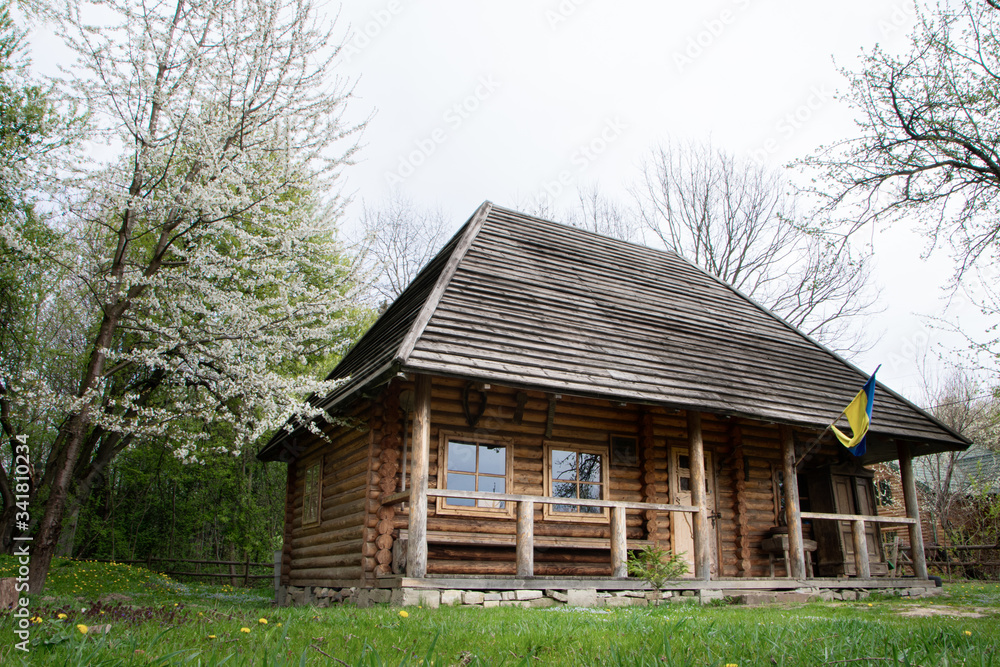 Small European-style resort wooden house or wooden hut in forest
Old wooden house.
Old wood in the countryside. Near is beautiful forest