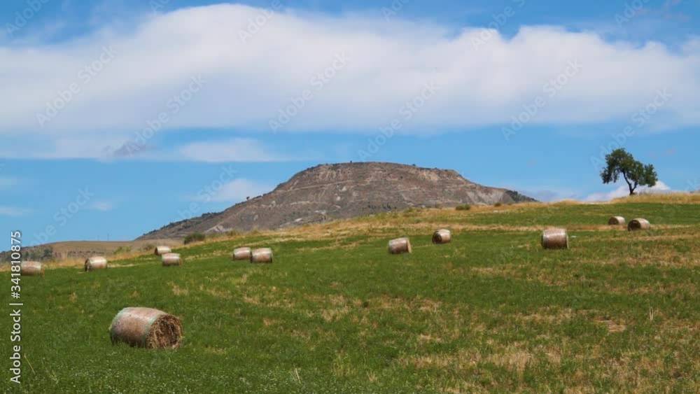 Wheat fields in Sicily. Green in April. Dazzling yellow in summer. Wheat fields in Sicily. Green in April. Dazzling yellow in summer.