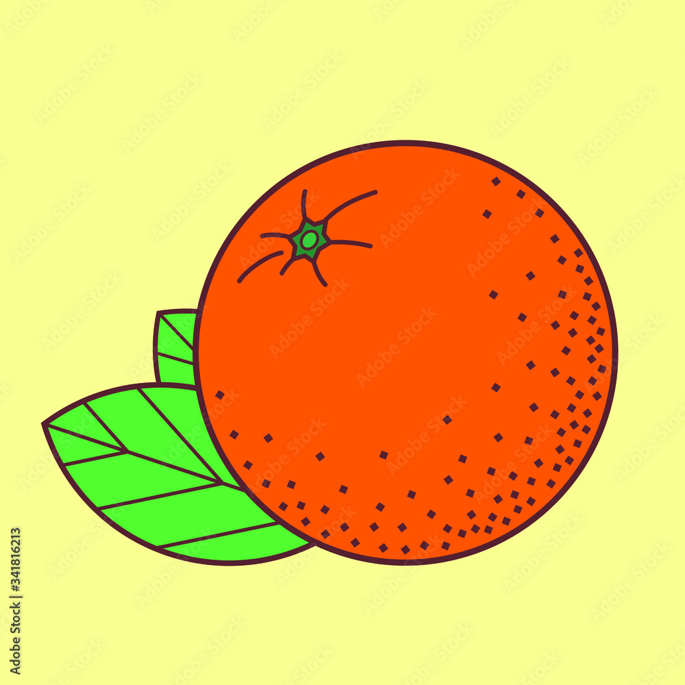 Orange fruit isolated on white background. Vector illustration.
