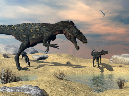 Two masiakasaurus knopfleri dinosaurs looking for water in the desert - 3D render photo