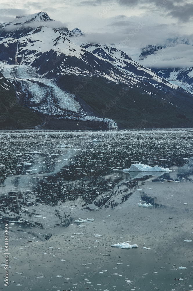 Fototapeta premium Cruising College Fjord