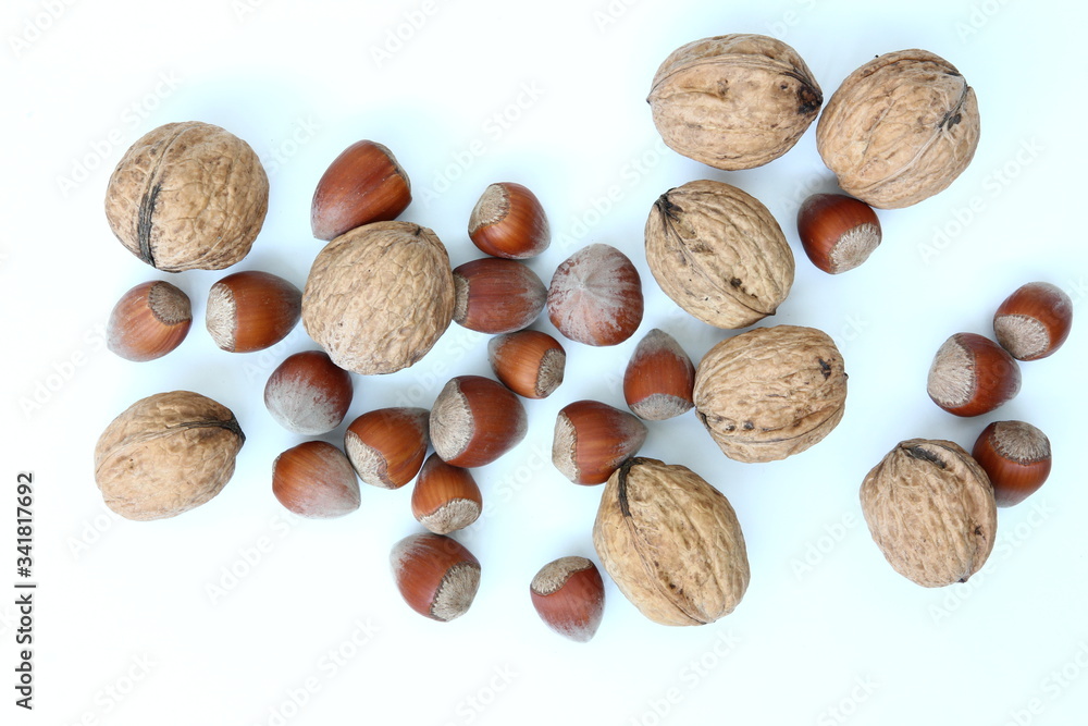 Superfoods - Mix Nuts - Walnuts and hazelnuts on white background Superfoods - Mix Nuts - Walnuts and hazelnuts on white background