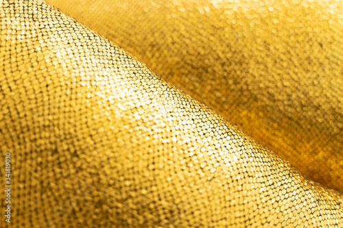 Beautiful gold scale