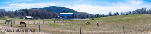 Panoramic view of a land with horses in Essex NY