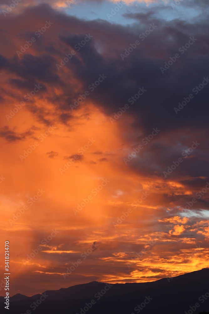 Fototapeta premium NATURALEZA, VIDA Y DETALLES