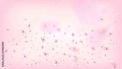 Nice Sakura Blossom Isolated Vector. Beautiful Flying 3d Petals Wedding Design. Japanese Bokeh Flowers Illustration. Valentine, Mother's Day Spring Nice Sakura Blossom Isolated on Rose © graficanto
