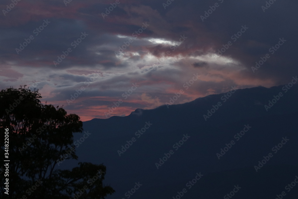 Fototapeta premium Naturaleza, vida y detalles