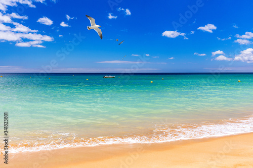 Soft wave of blue ocean on sandy tropical beach. Background of tropical paradise beach with golden sand, travel tourism panorama background concept. Sand and sea waves background.