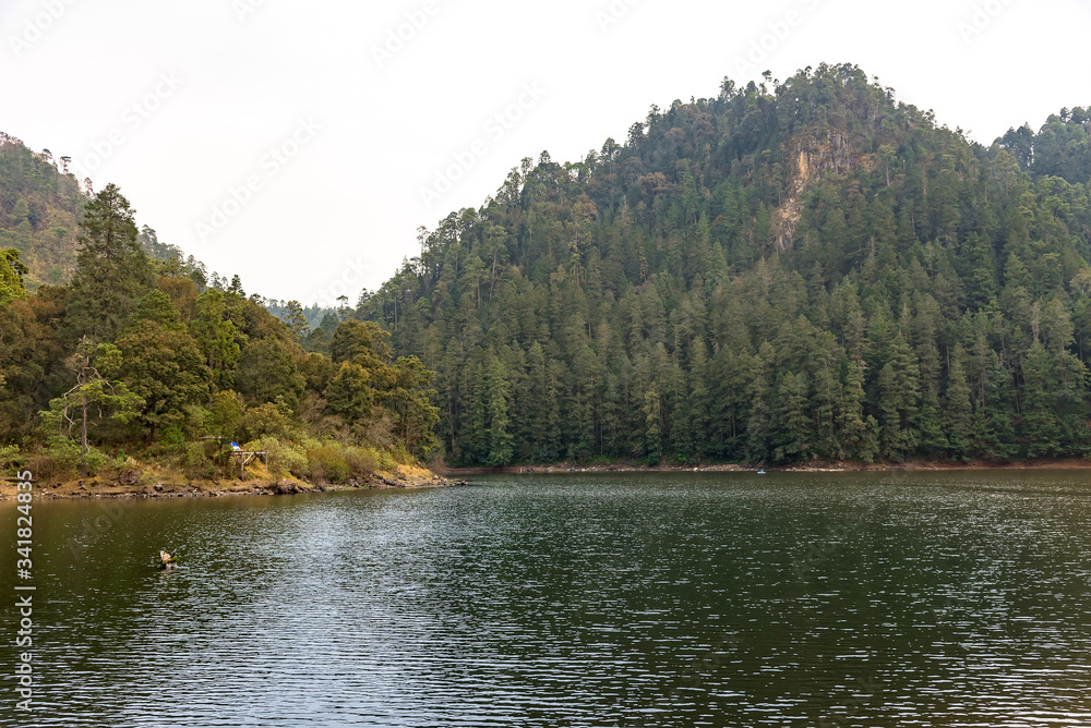 Naklejka premium Lake in the forest with mountains in a cloudy day
