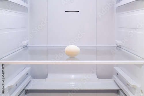 one white egg on a shelf in an empty refrigerator