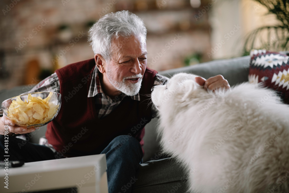 Old man with his best friend. senior man in living room with his dog. Old man with his best friend. senior man in living room with his dog.