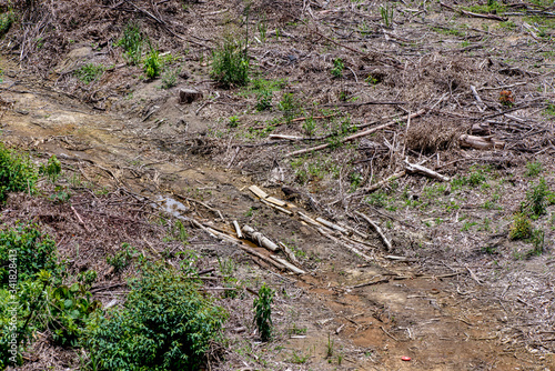 Deforestation photographed in Caparao, Espirito Santo. Southeast of Brazil. Atlantic Forest Biome. Picture made in 2018. © Leonardo