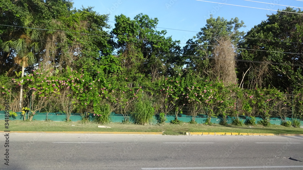 Senote is a cave where you can swim. It's a cenote Cristallino in Mexico.