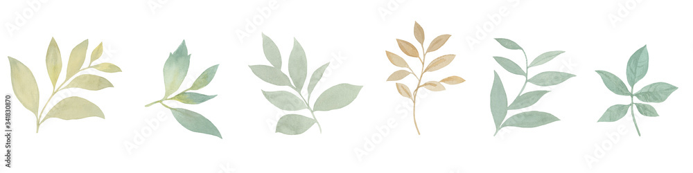 Set of painted watercolor leaves. isolated leaves on a white background. Watercolor leaves for print, packaging, cards and wedding invitations.