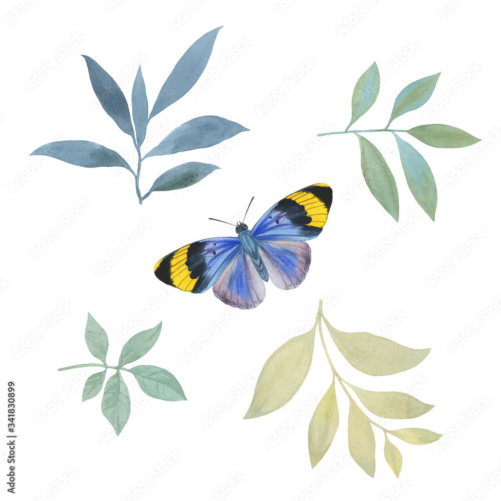 Set of drawn watercolor leaves and butterflies. isolated leaves on a white background. Watercolor leaves for printing, packaging, cards. Botanical elements for invitation cards.