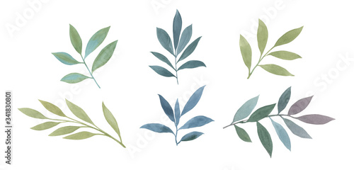 Set of painted watercolor leaves. isolated leaves on a white background. Watercolor leaves for printing, packaging, cards. Botanical elements for invitation cards. © Sergei