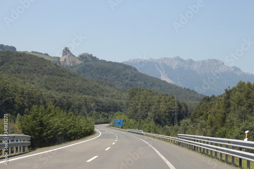 Carretera vacía con árboles