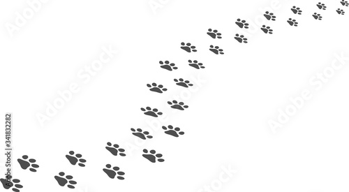 Dog paw prints. Vector illustration on light background.