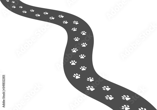 Dog paw prints on the road.  Vector illustration made on light background.