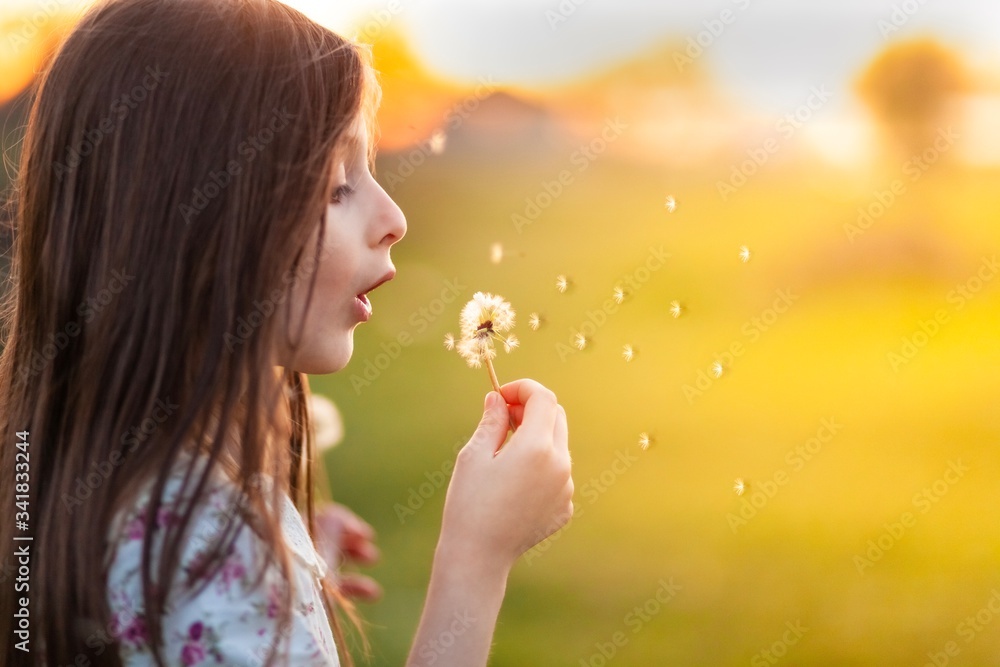 Girl blows off a dandelion. The lights of a sun. Childhood, happiness, freedom, beauty Girl blows off a dandelion. The lights of a sun. Childhood, happiness, freedom, beauty