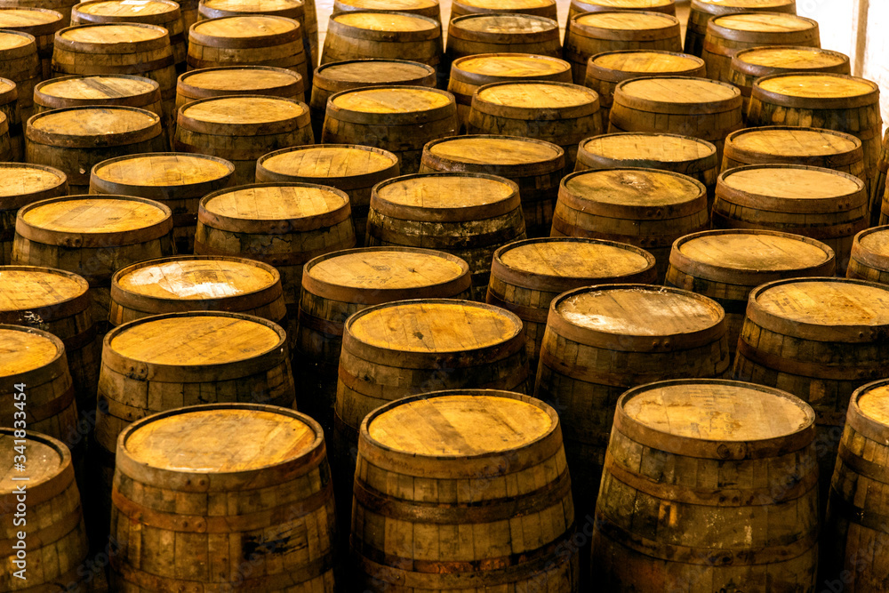 Wine barrels on old cellar