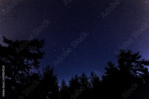 starry night sky © Svetliy