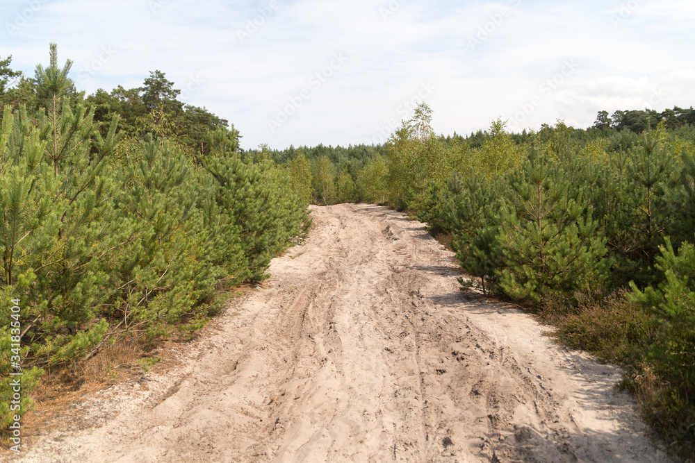 sandy track