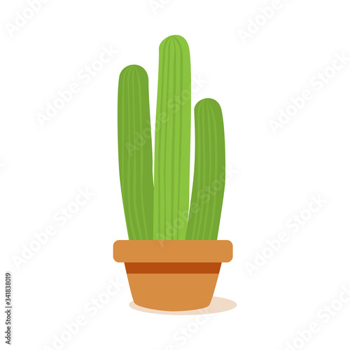 Isolated cactus icon