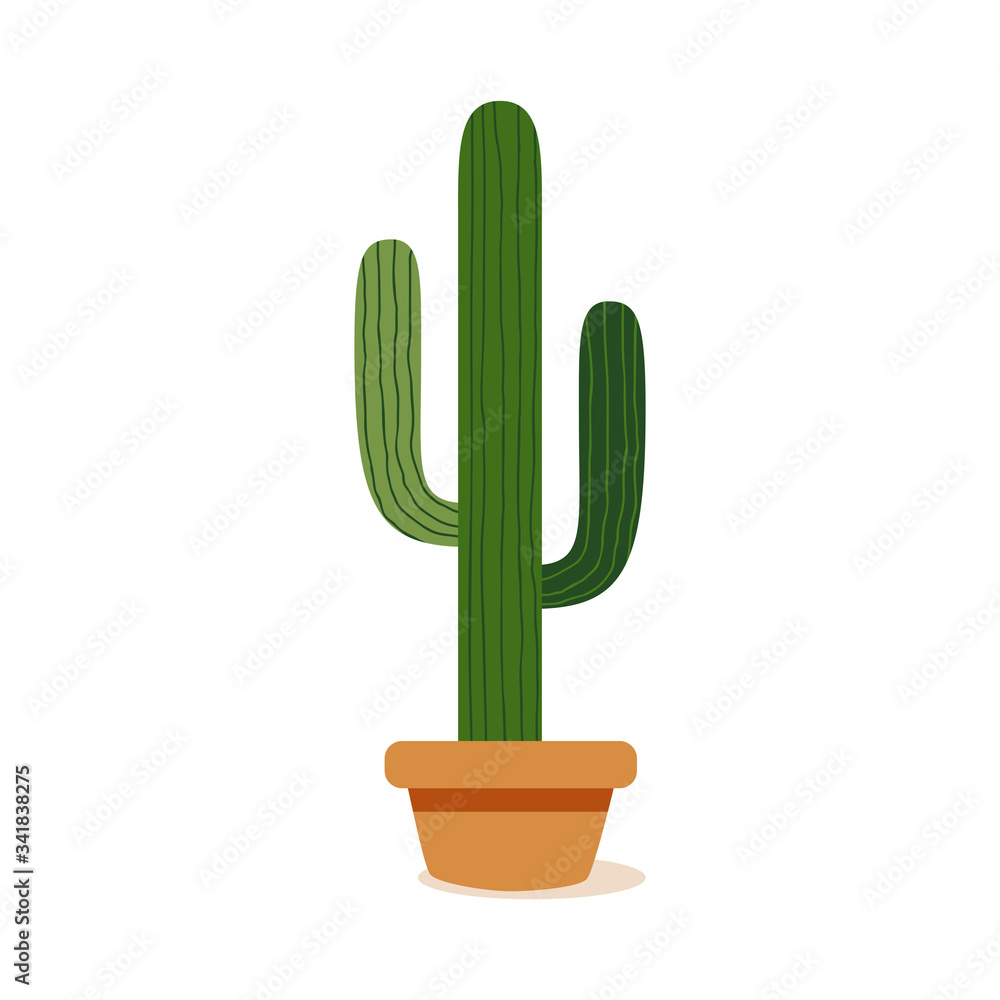 Isolated cactus icon Isolated cactus icon