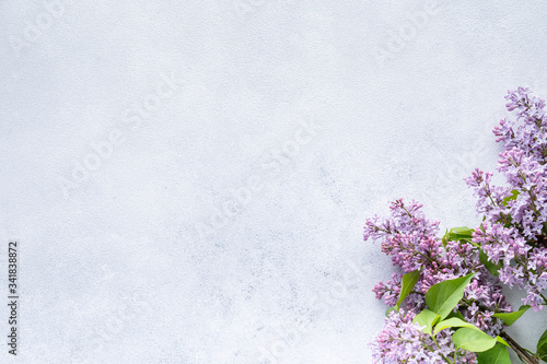 frame of branches and lilac flowers on a gray background .letterhead for postcards for spring, Easter, mother's Day, women's day, Valentine's Day. top view, place to copy