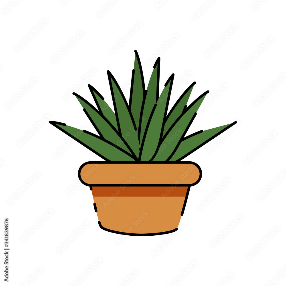 Isolated cactus icon Isolated cactus icon