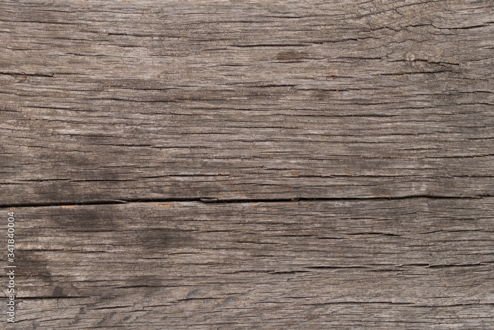 The texture of natural wood. Very old weathered pine surface. Creative vintage background. The texture of natural wood. Very old weathered pine surface. Creative vintage background.