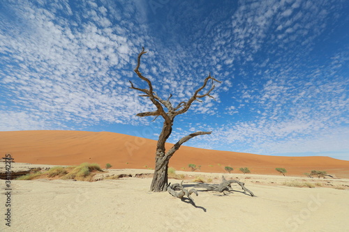 Namibia Africa © GORDON