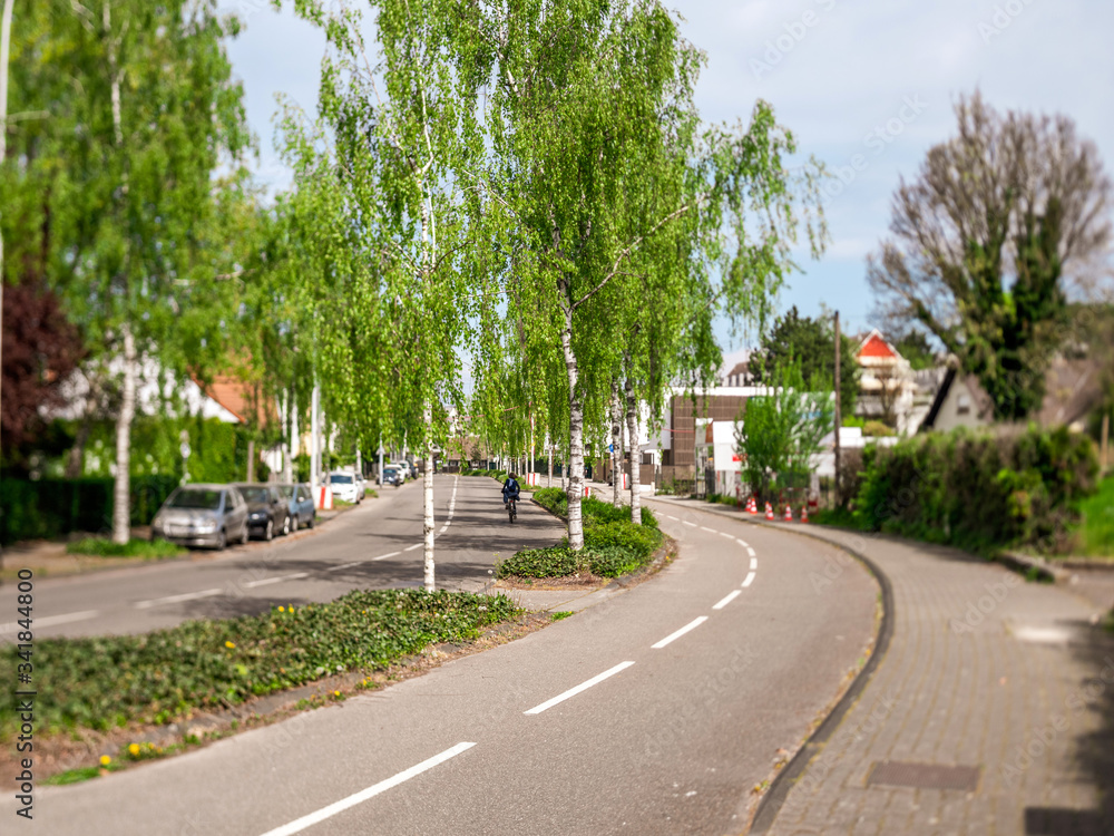 Perspective view over a birch alley street with lonely woman riding a bike during coronavirus covid-19 lockdown in France