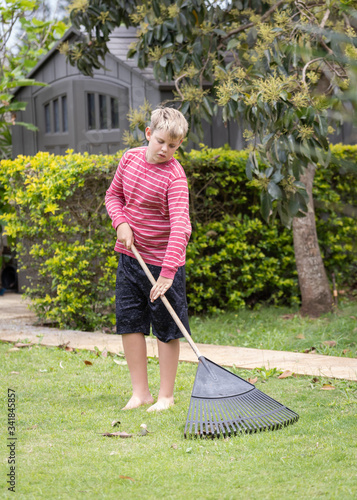 young blond boy in red striped shirt is cleaning the yard with a rake.