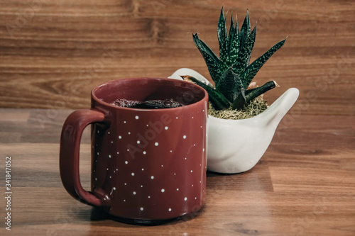Cup Of Coffee and Plant