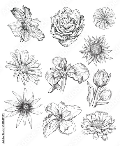 Hand drawing flowers set